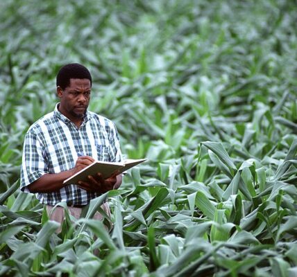 How to Apply for Agriculture Finance Online in 2023