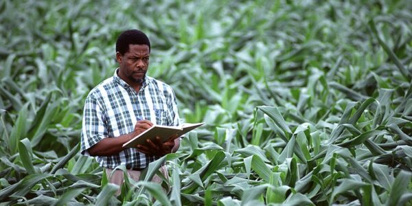 How to Apply for Agriculture Finance Online in 2023
