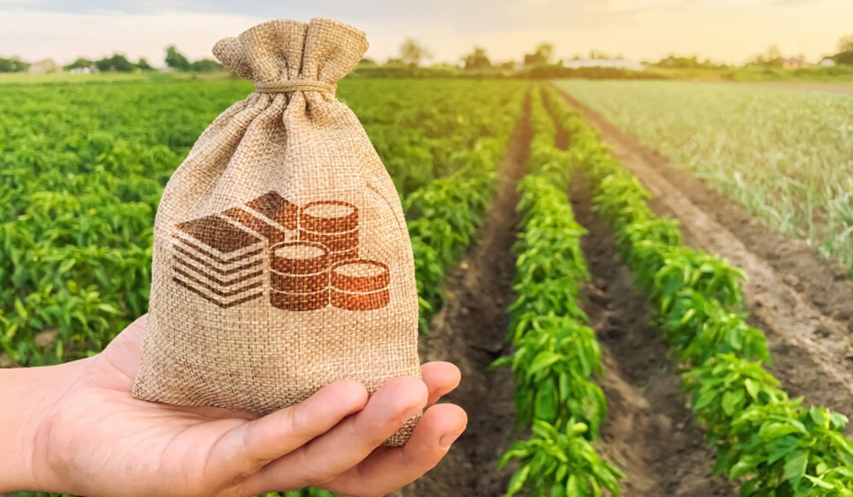 How to Apply Agriculture Loan and Insurance